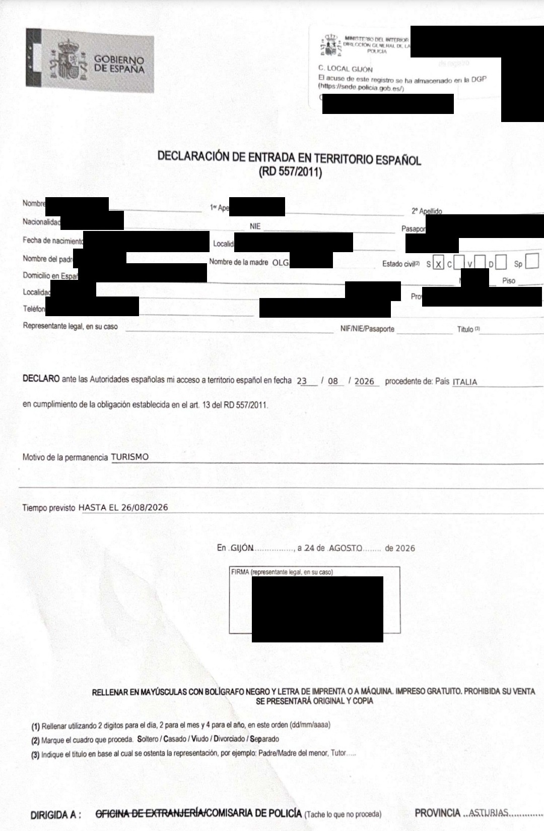 Пример оформленной Declaración de entrada